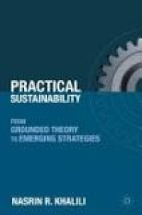 Image of Practical Sustainability: From Grounded Theory to  Emerging Strategies