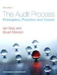 Image of The Audit Process: Principles, Practice and Cases